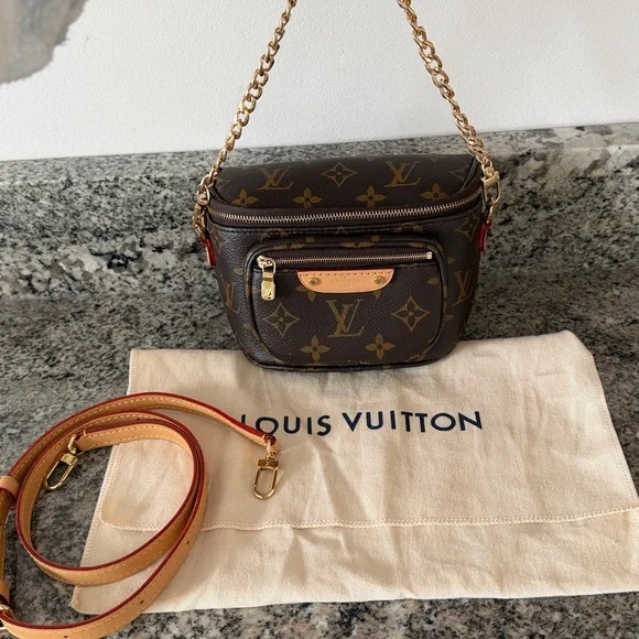 Louis Vuitton Mini Bum Bag - Picture 8 of 16